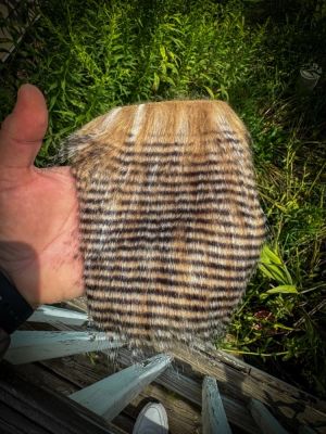 Craft Fur!