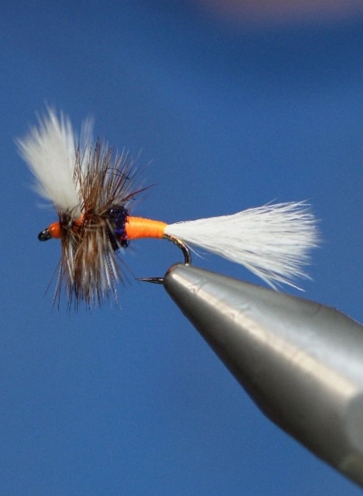 GTH Variant