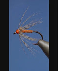 Partridge and Orange